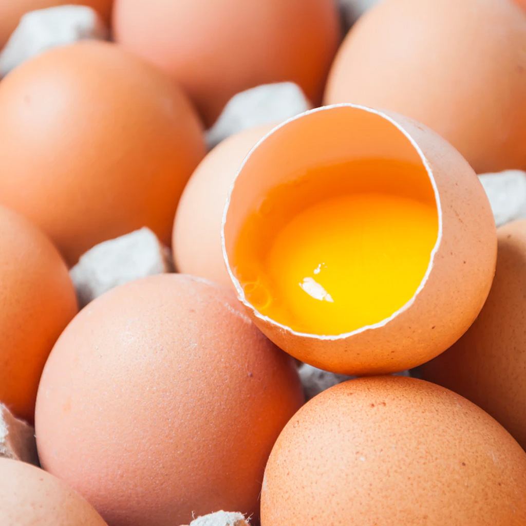 El huevo, composición y otros ingredientes sustitutivos